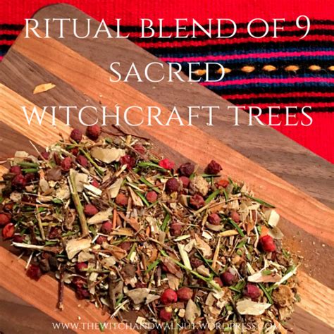 Exploring the Folklore and Legends Surrounding Witchcraft Tree Embellishment